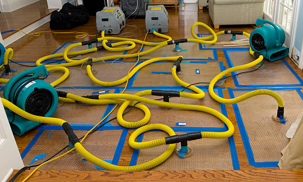 Professional Water Extraction technician working in Santa Fe, TN